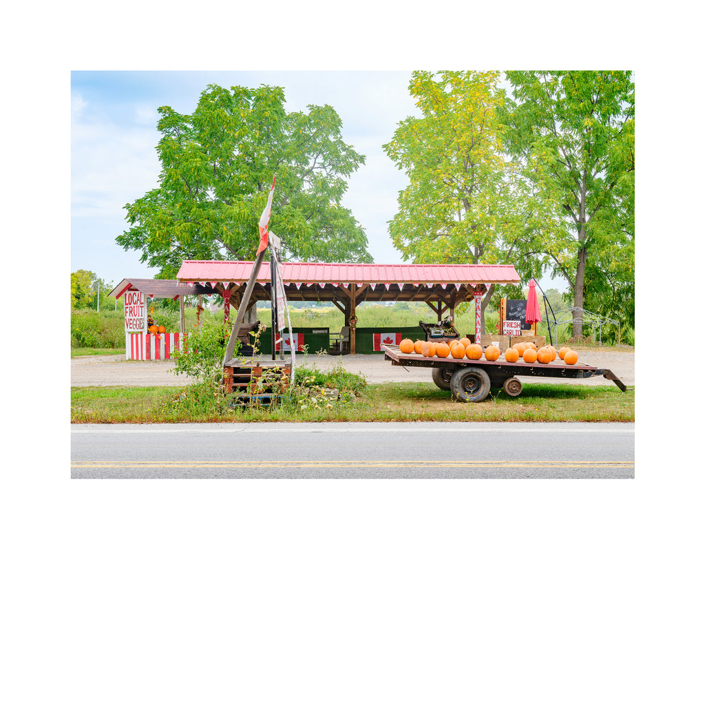 Stand # 001, Lincoln, Ontario, Canada, 2025