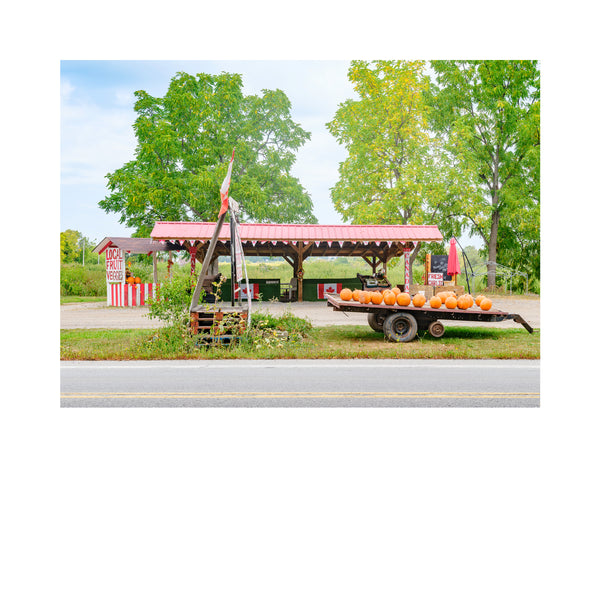Stand # 001, Lincoln, Ontario, Canada, 2025