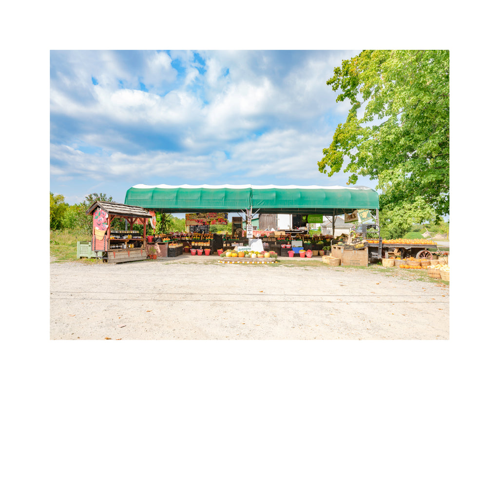 Stand # 004, Romagnoli Farms, Beamsville, Ontario, Canada, 2025