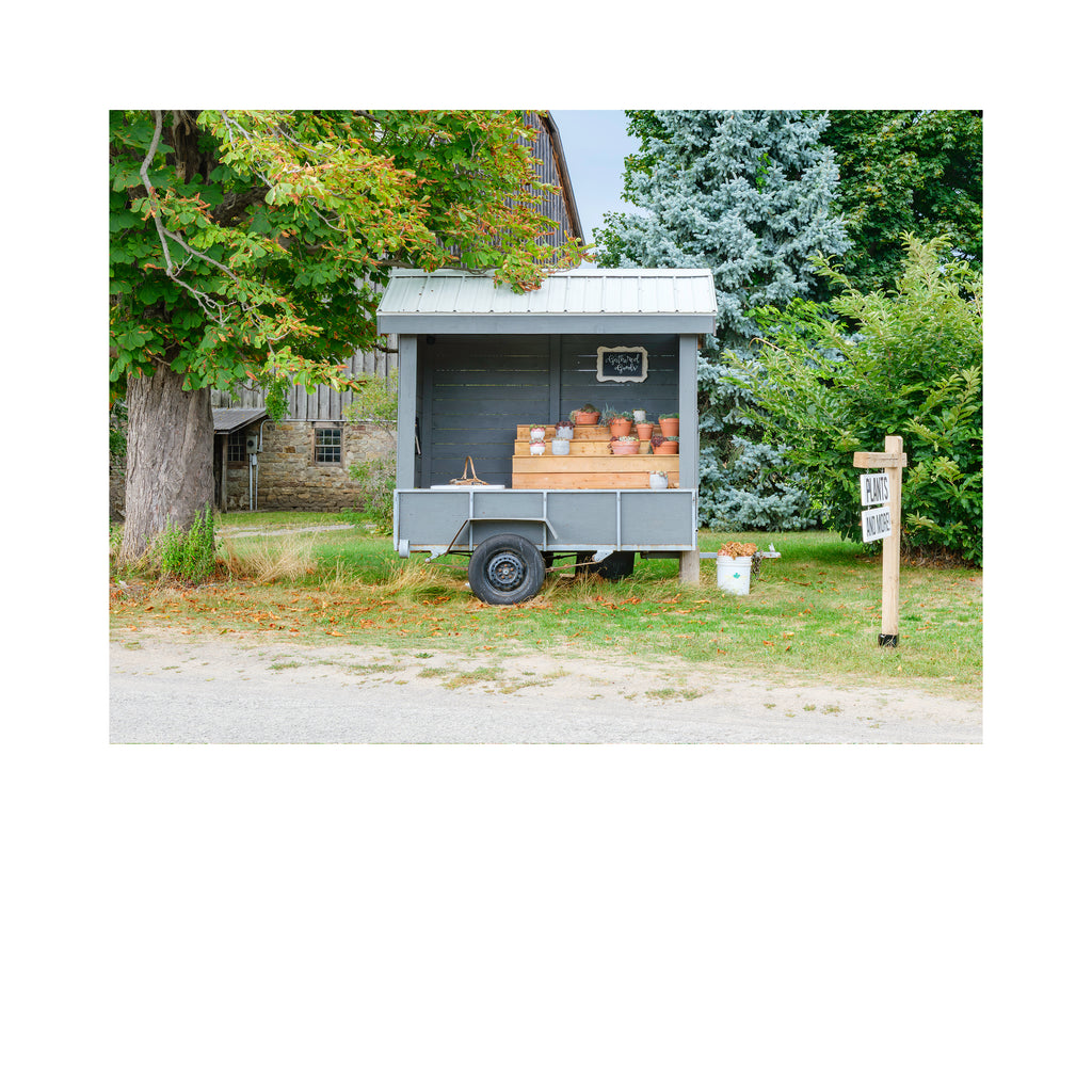 Stand # 007, Gathered Goods, Niagara Peninsula, Ontario, Canada, 2025