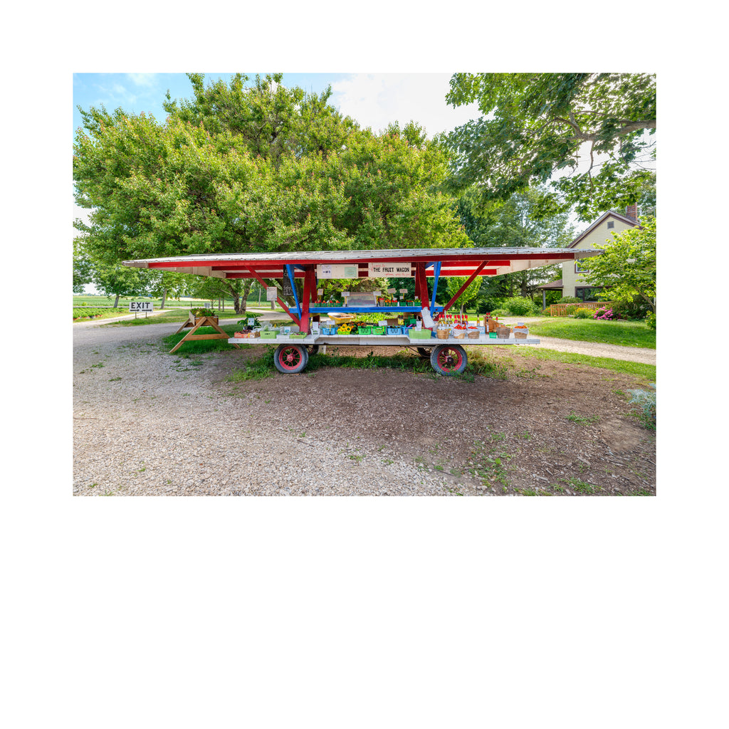 Stand # 012, Harrow, Essex, Ontario, Canada, 2025