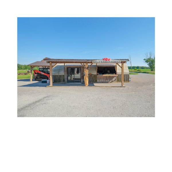 Stand # 017, Kelly's Strawberries, Alnwick/Haldimand, Ontario, Canada, 2026