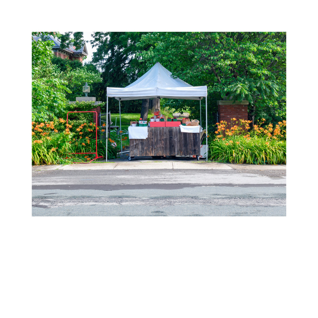 Stand # 021, Grimsby, Ontario, Canada, 2026