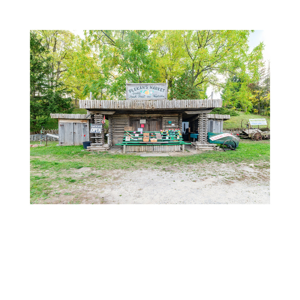 Stand # 003, Plekan's Market, Beamsville, Ontario, Canada, 2025
