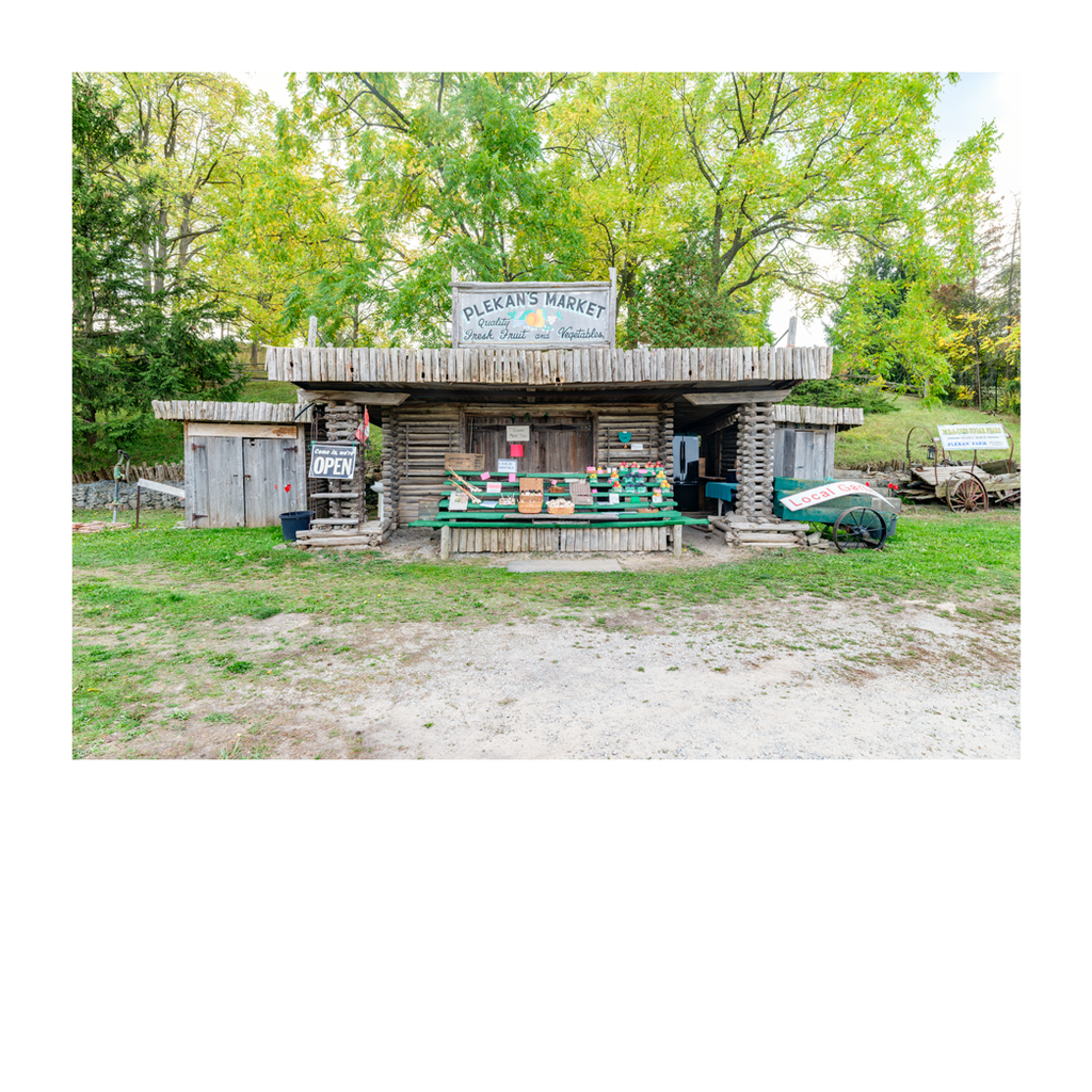 Stand # 003, Plekan's Market, Beamsville, Ontario, Canada, 2025