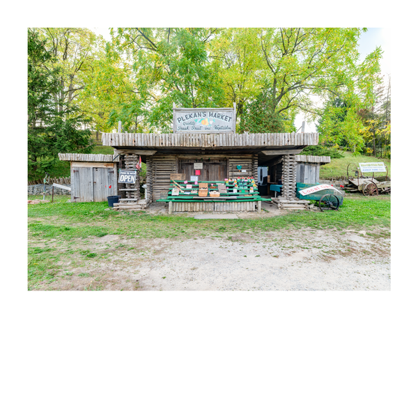 Stand # 003, Plekan's Market, Beamsville, Ontario, Canada, 2025