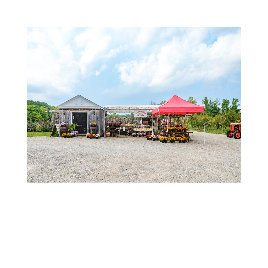 Stand # 005, Jordan Valley Acres, Jordan Station, Ontario, Canada, 2025