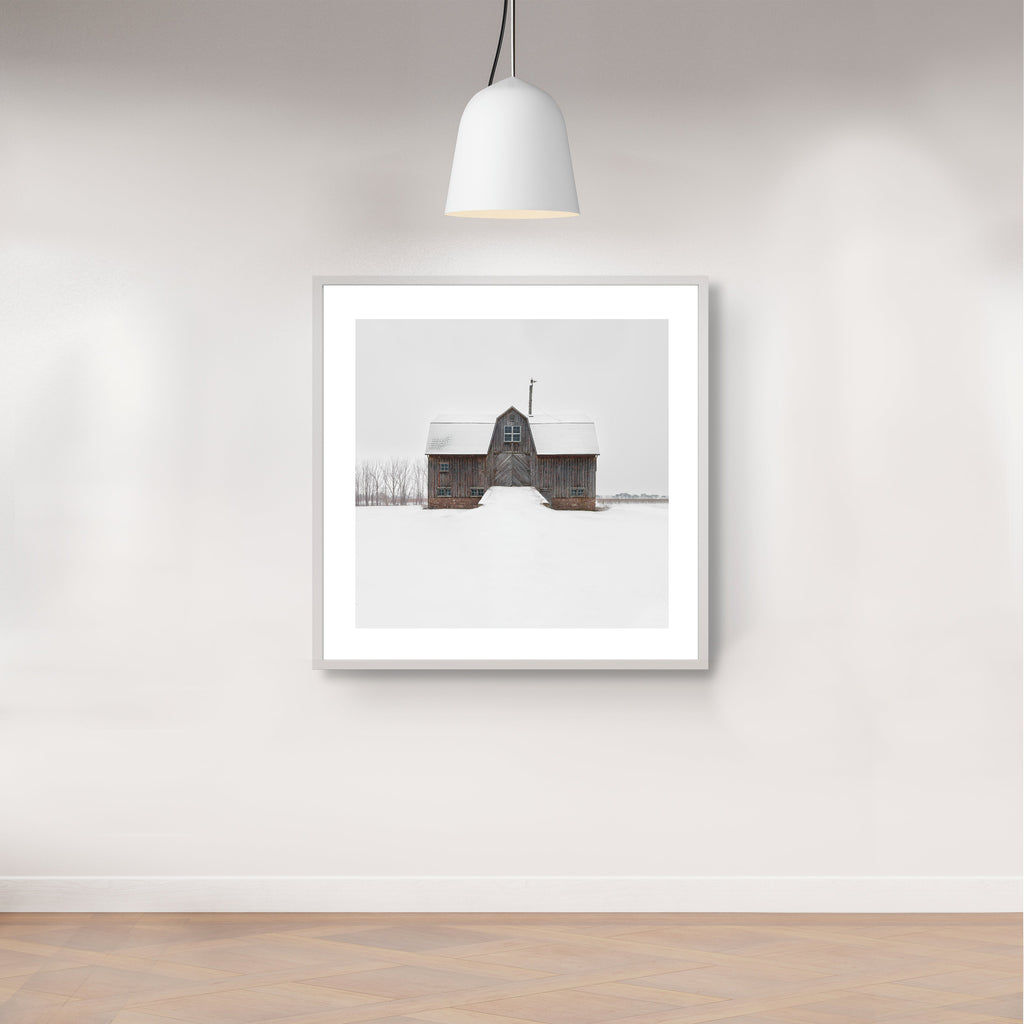 Portrait # 040, St. Catharines, Ontario, Canada, 2024 | -8°C