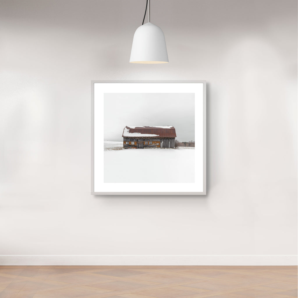 Portrait # 042, Val-Brillant, Québec, Canada, 2024 | -13°C