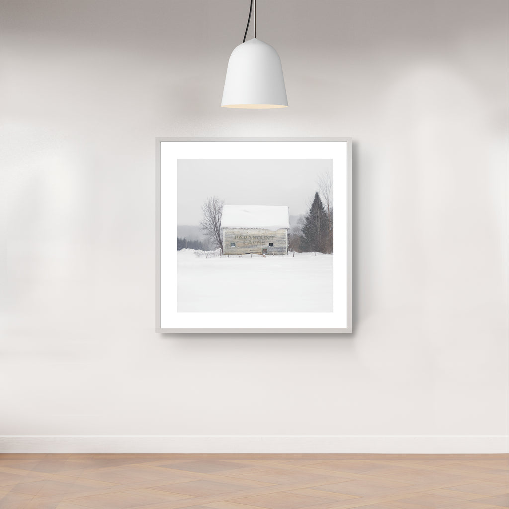 Portrait # 046, Sutton, Québec, Canada, 2025 | -12°C