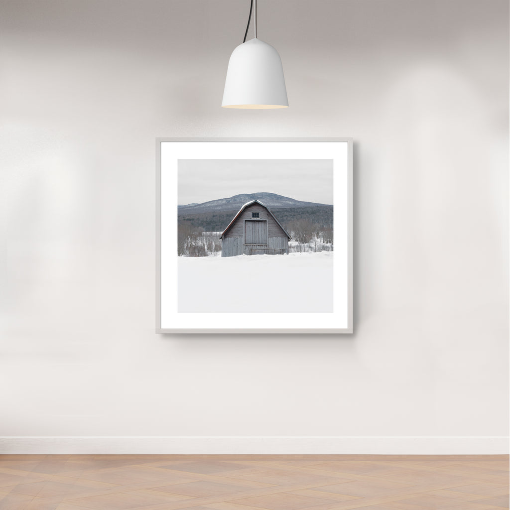 Portrait # 048, Sutton, Québec, Canada, 2025 | -12°C