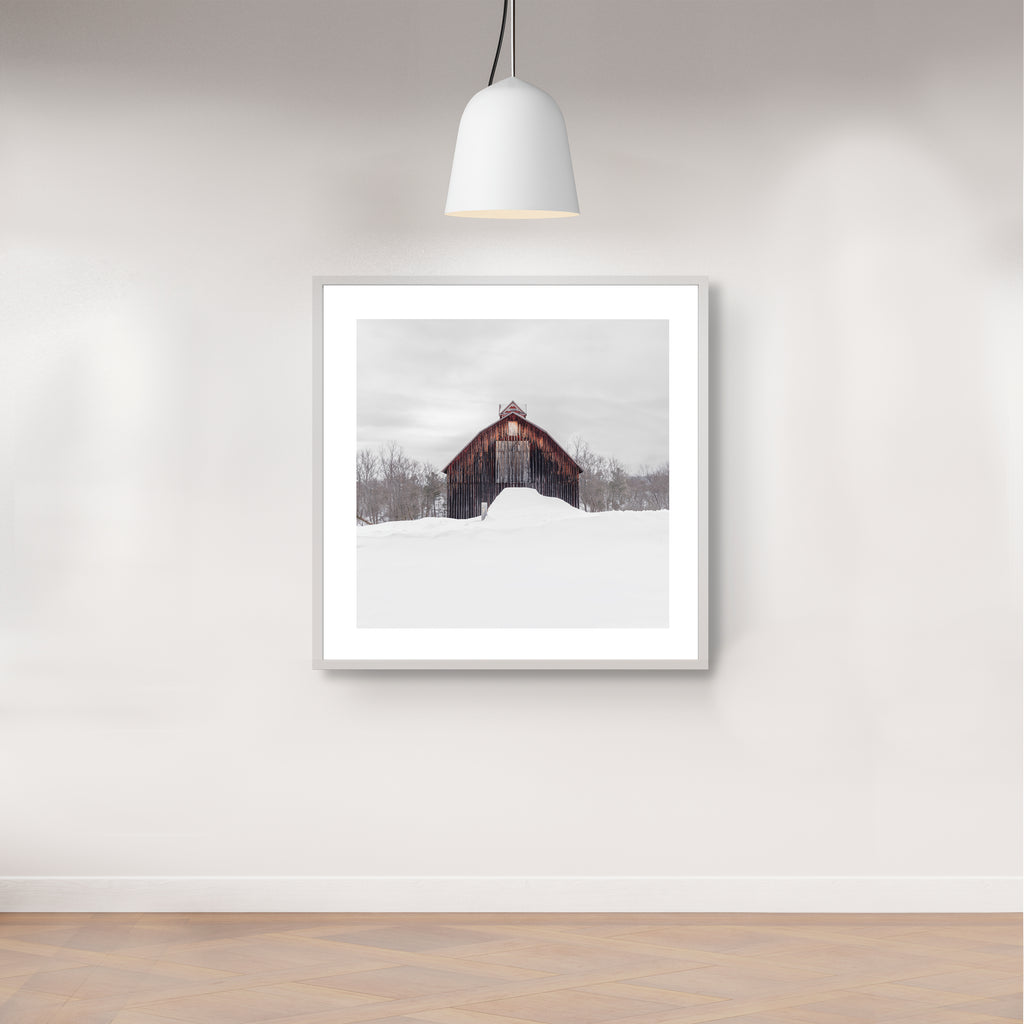 Portrait # 049, Sutton, Québec, Canada, 2025 | -12°C