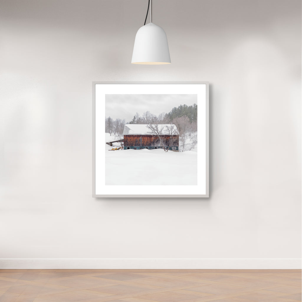 Portrait # 050, Sutton, Québec, Canada, 2025 | -12°C