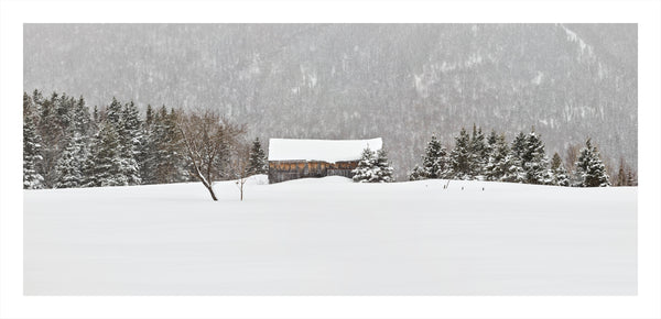 Portrait # 008, Charlevoix, Québec, Canada, 2016 | -15°C