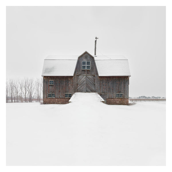 Portrait # 040, St. Catharines, Ontario, Canada, 2024 | -8°C