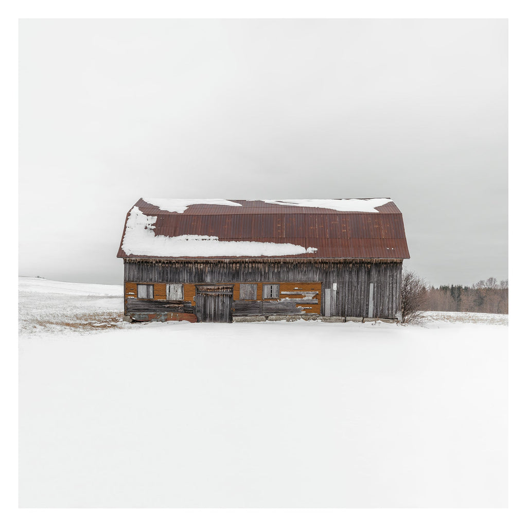 Portrait # 042, Val-Brillant, Québec, Canada, 2024 | -13°C