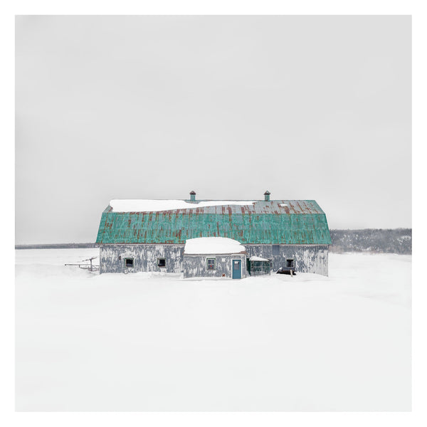 Portrait # 044, St-Simon-de-Rimouski, Québec, Canada, 2024 | -12°C