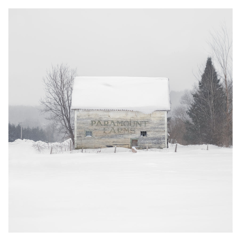 Portrait # 046, Sutton, Québec, Canada, 2025 | -12°C