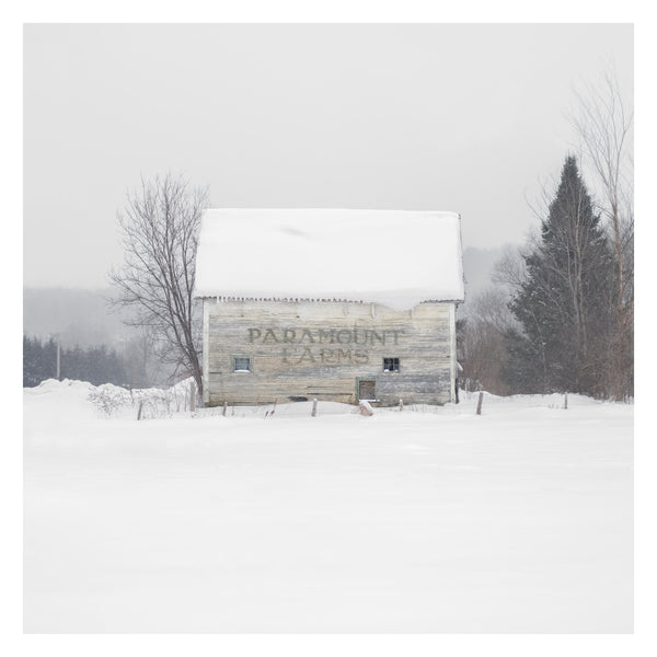 Portrait # 046, Sutton, Québec, Canada, 2025 | -12°C
