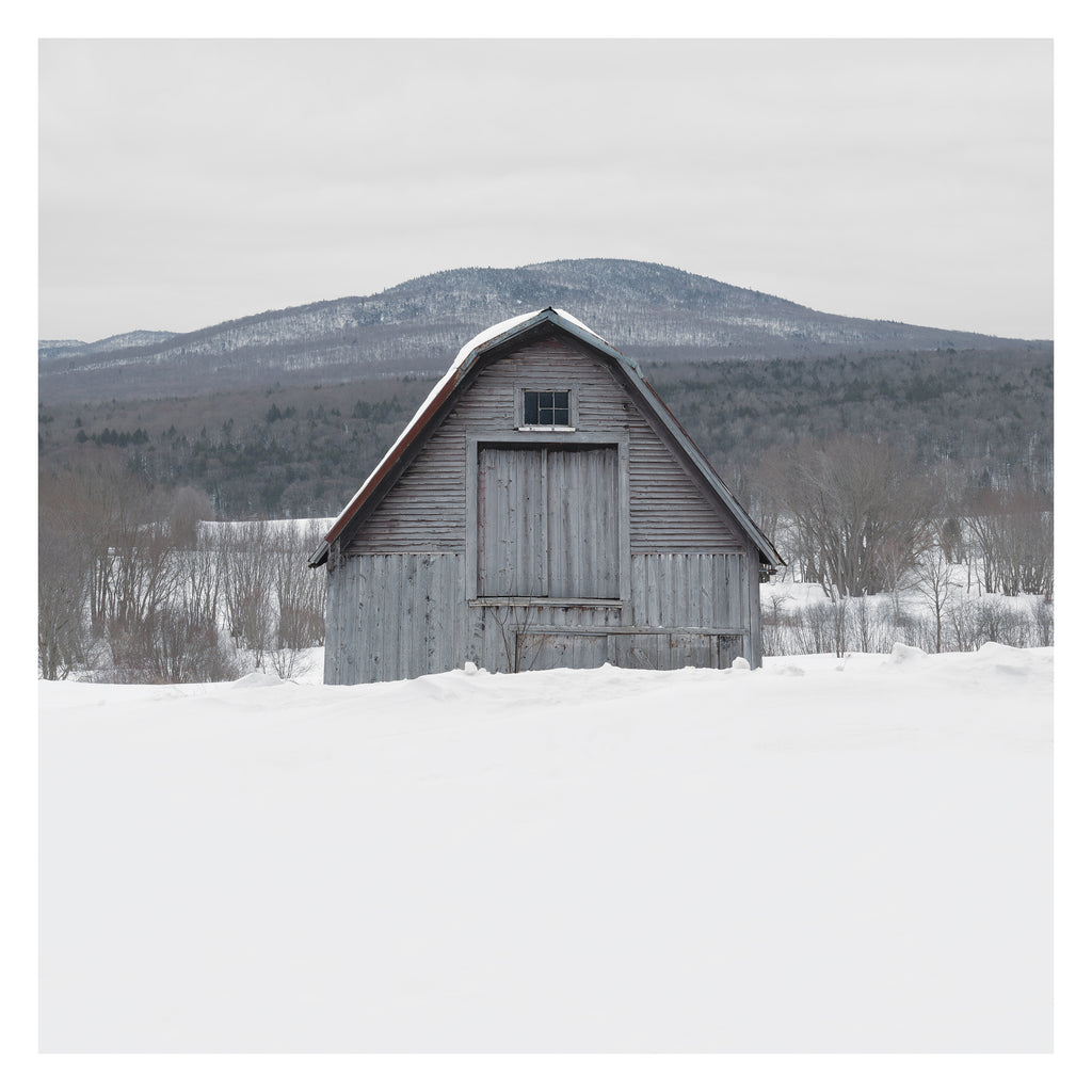 Portrait # 048, Sutton, Québec, Canada, 2025 | -12°C