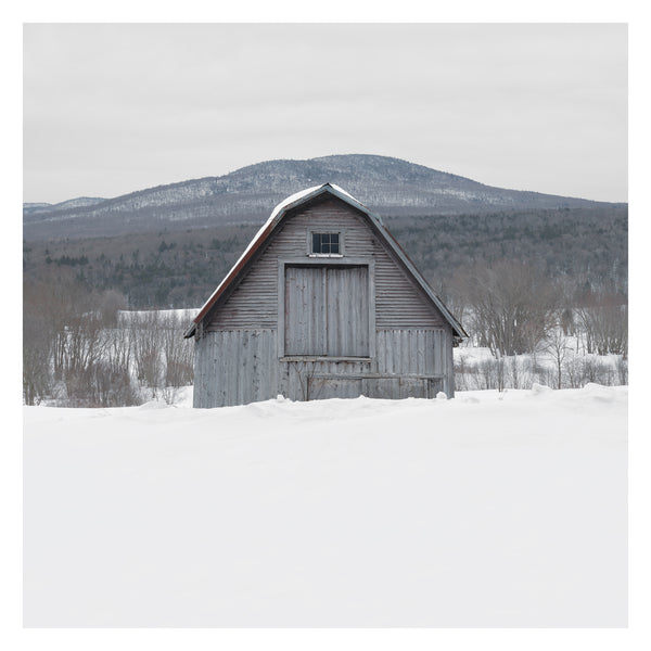 Portrait # 048, Sutton, Québec, Canada, 2025 | -12°C