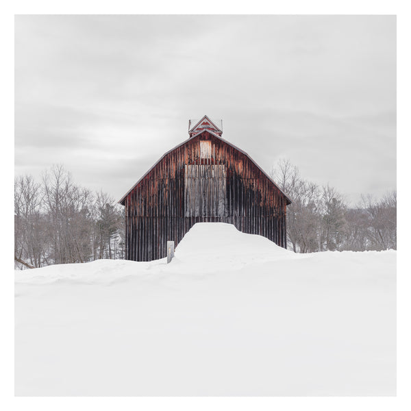 Portrait # 049, Sutton, Québec, Canada, 2025 | -12°C