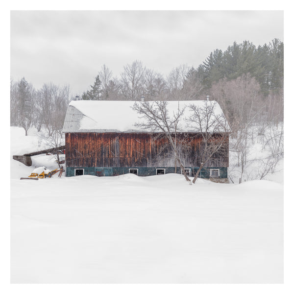 Portrait # 050, Sutton, Québec, Canada, 2025 | -12°C