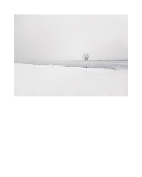 Winter # 011, Québec, Canada, 2024