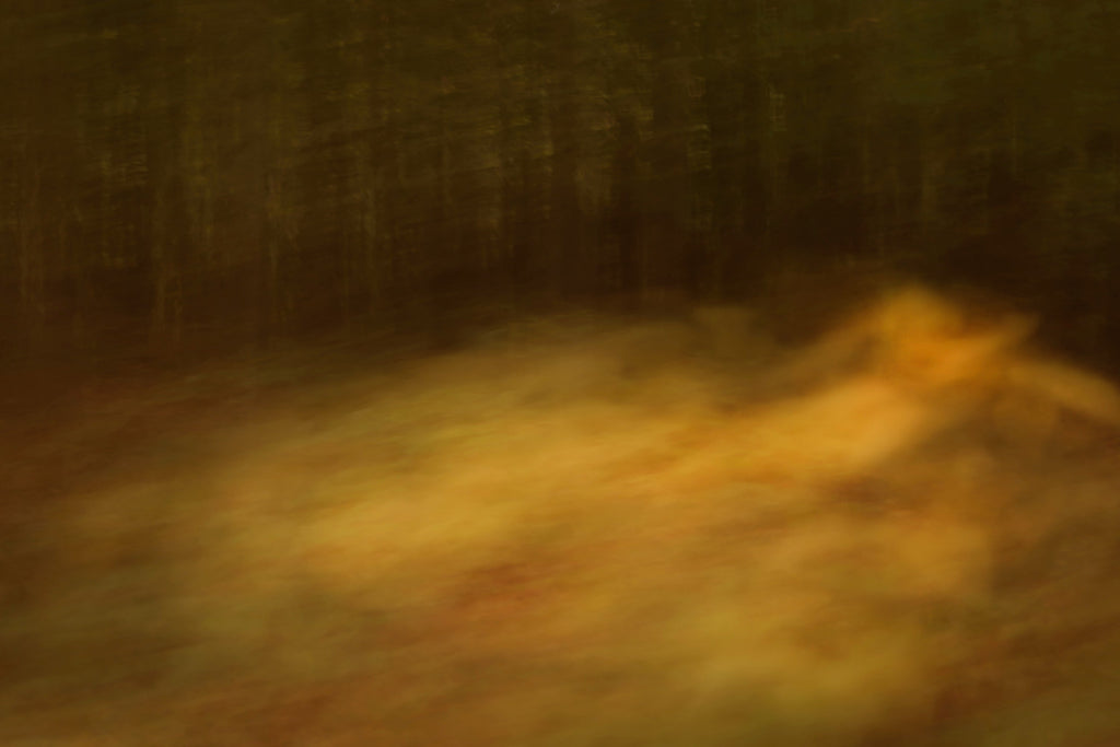 Out of the Woods # 001