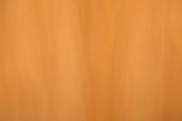 Out of the Woods # 003