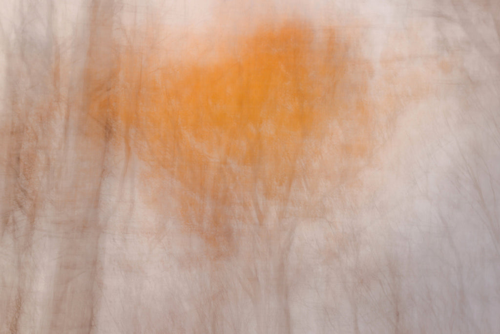 Out of the Woods # 005