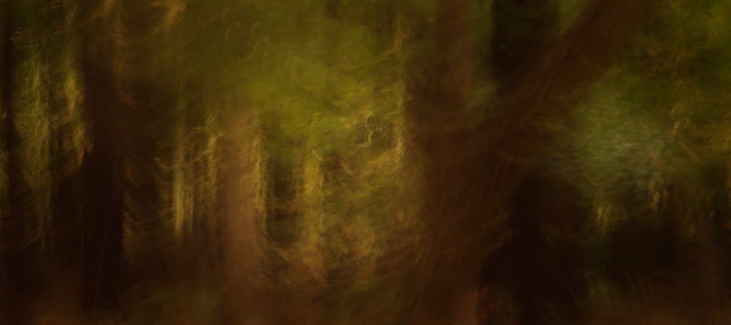 Out of the Woods # 006