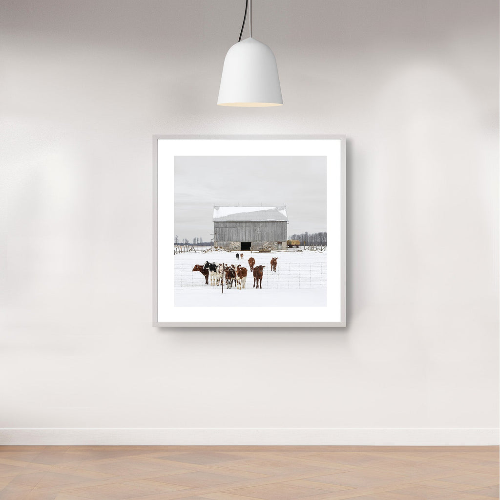 Portrait # 031, Elmvale, Ontario, Canada, 2023 | -1°C