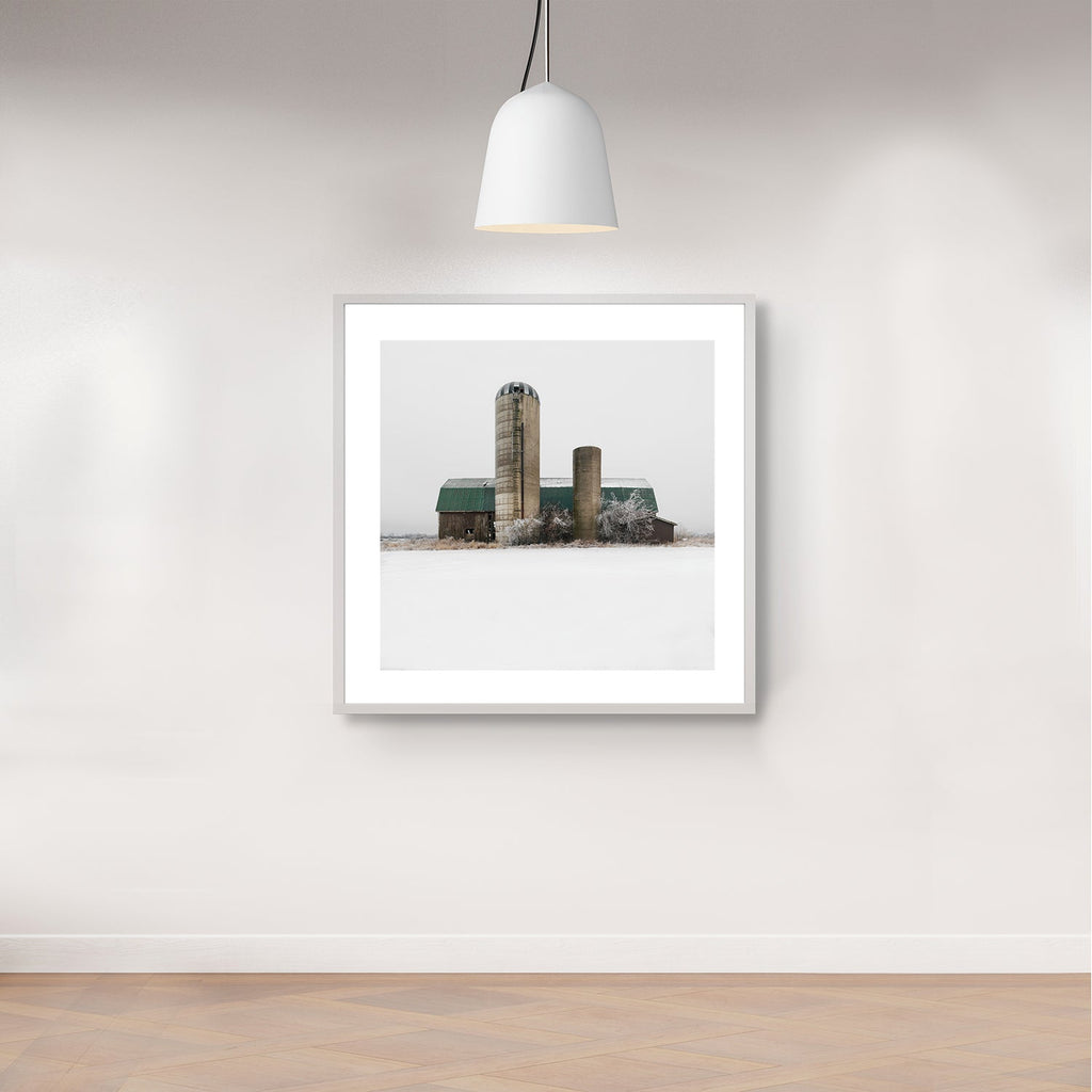 Portrait # 033, Haldimand County, Ontario, Canada, 2023 | -3°C