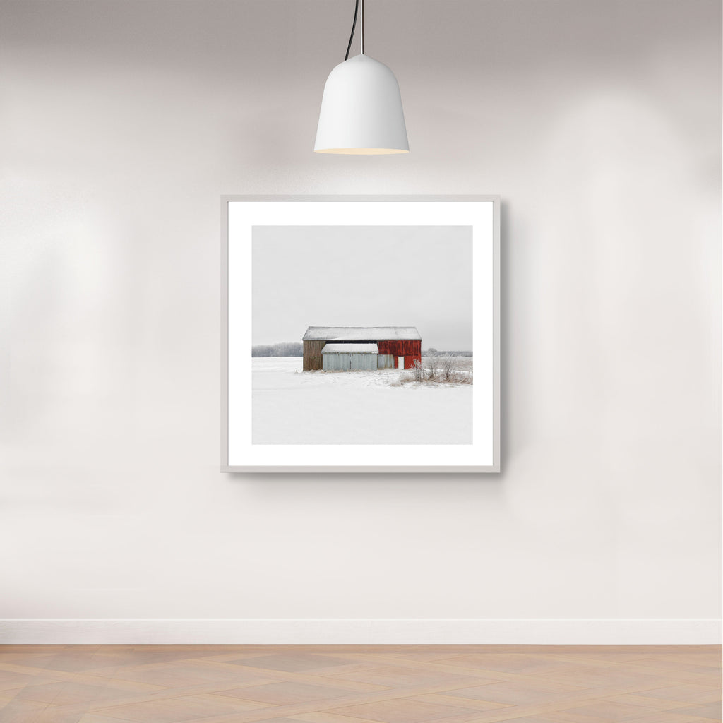 Portrait # 035, Selkirk, Ontario, Canada, 2023 | -17°C