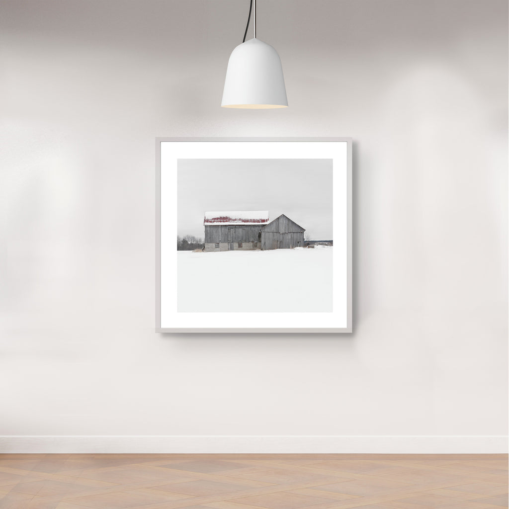 Portrait # 038, Tiny, Ontario, Canada, 2023 | -1°C