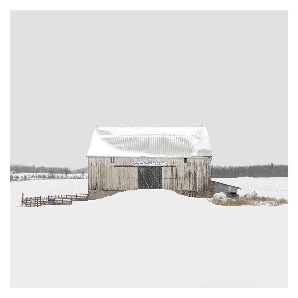 Portrait # 019, Halton Hills, Ontario, Canada, 2018, -9°C | Limited Edition Archival Photograph | © 2019 Martine Côté | martinecotegallery.com 