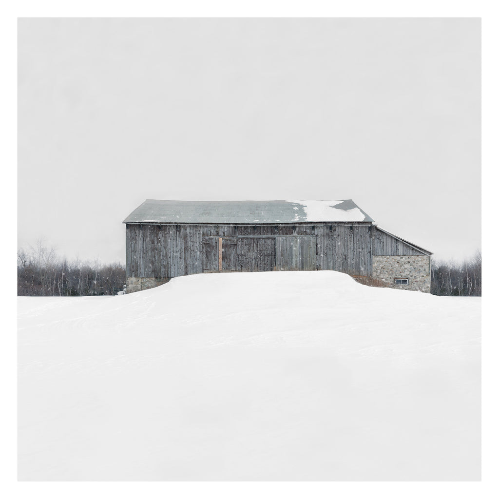 Portrait # 024, Erin, Ontario, Canada, 2020 | -2°C