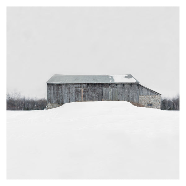 Portrait # 024, Erin, Ontario, Canada, 2020 | -2°C