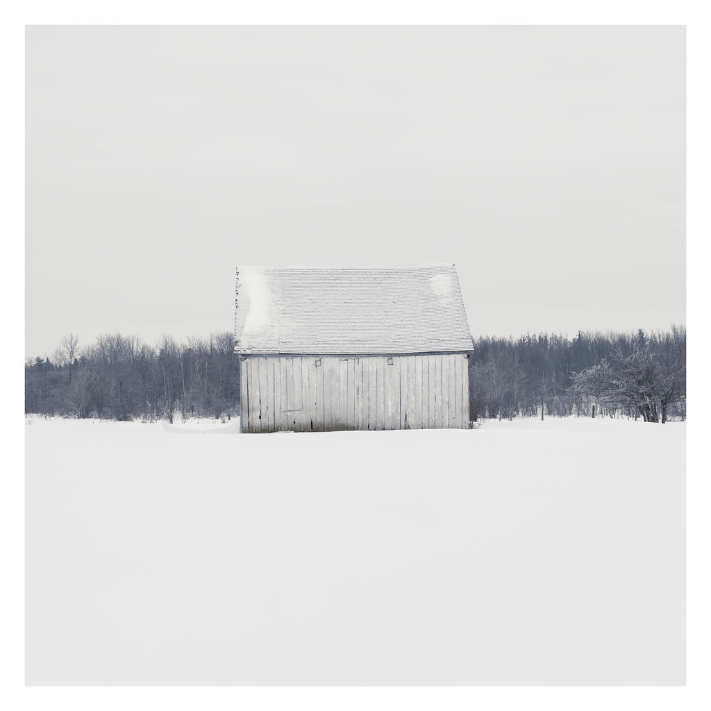 Portrait # 015, Québec, Québec, Canada, 2018 | -14°C