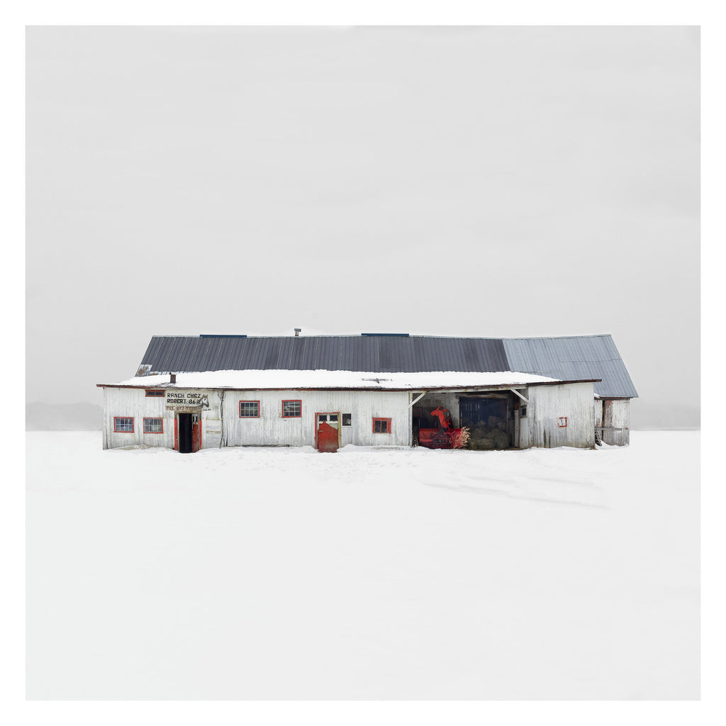 Portrait # 026, Chemin du Lac, St-Augustin-de-Desmaures, Québec, Canada, 2020 | -4°C