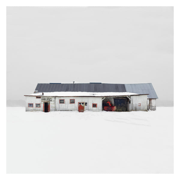 Portrait # 026, Chemin du Lac, St-Augustin-de-Desmaures, Québec, Canada, 2020 | -4°C