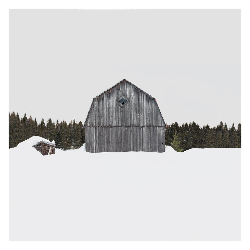 Portrait # 027, Charlevoix, Québec, Canada, 2019 | -12°C