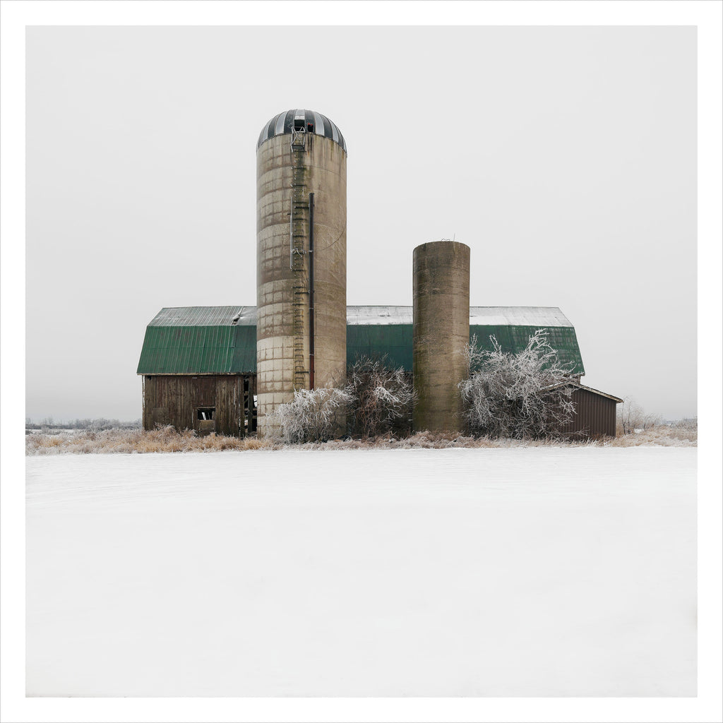 Portrait # 033, Haldimand County, Ontario, Canada, 2023 | -3°C