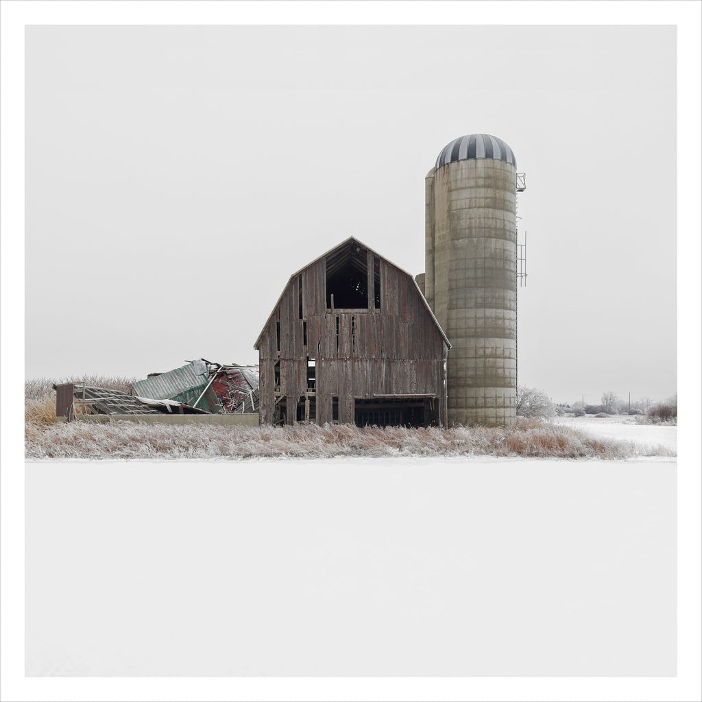 Portrait # 034, Haldimand County, Ontario, Canada, 2023 | -3°C