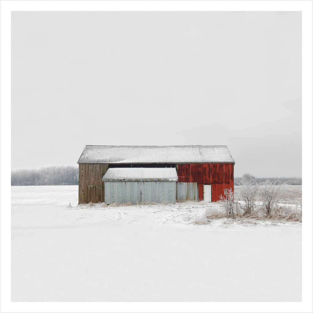 Portrait # 035, Selkirk, Ontario, Canada, 2023 | -17°C