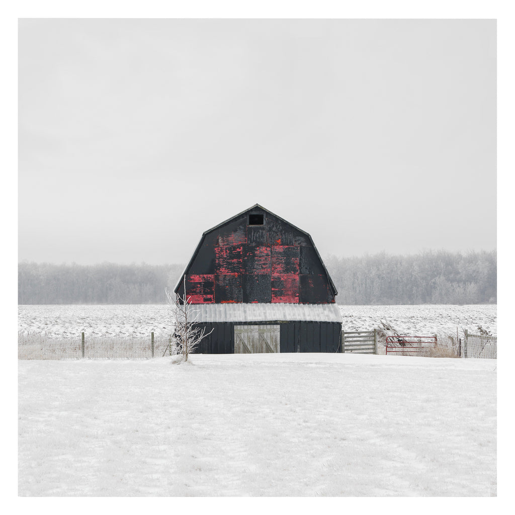 Portrait # 036, Selkirk, Ontario, Canada, 2023 | -17°C