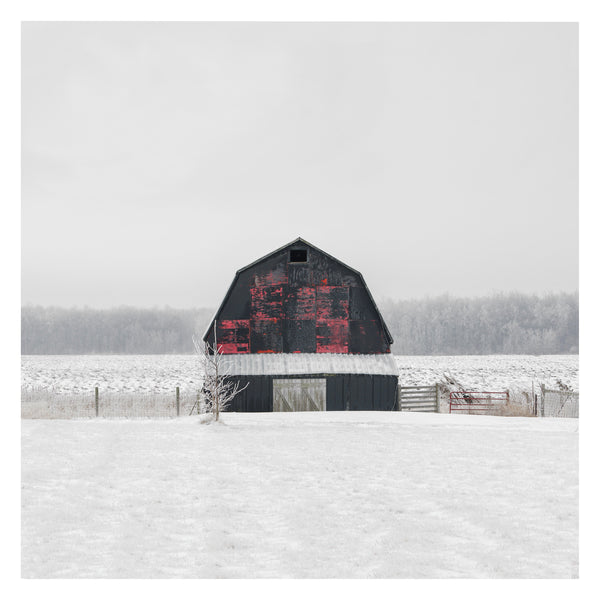 Portrait # 036, Selkirk, Ontario, Canada, 2023 | -17°C