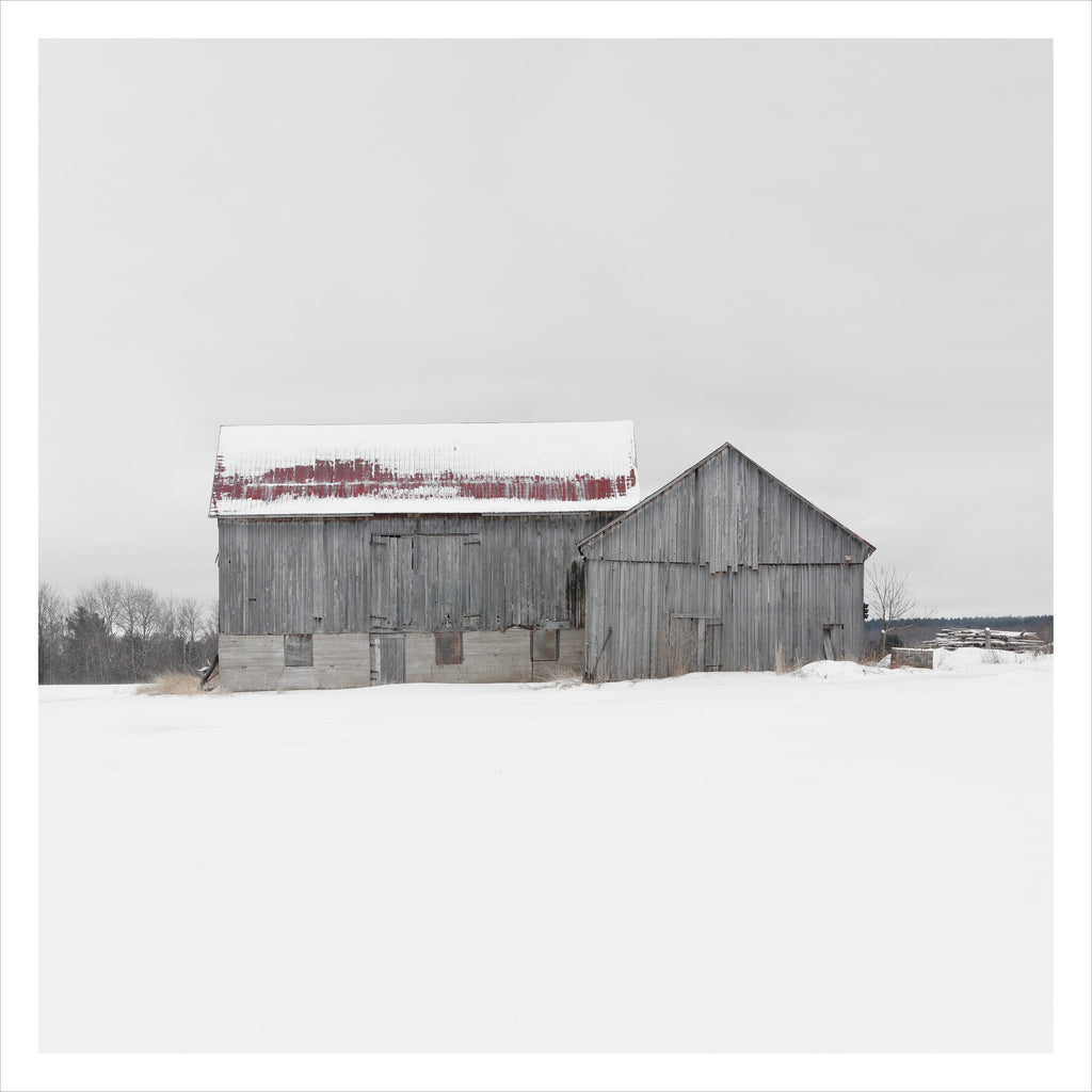 Portrait # 038, Tiny, Ontario, Canada, 2023 | -1°C