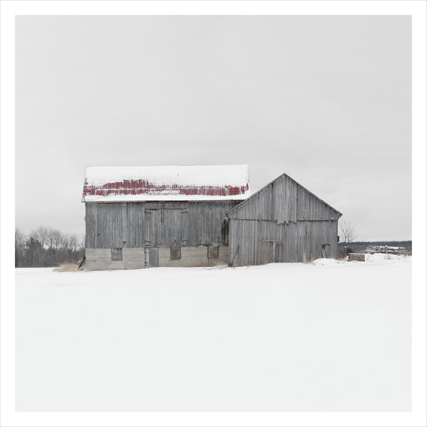 Portrait # 038, Tiny, Ontario, Canada, 2023 | -1°C